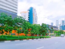 South Bridge Road (D1), Retail #501544031